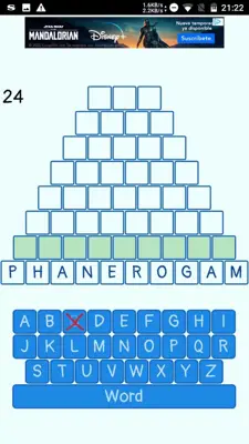 Words Pyramid android App screenshot 4